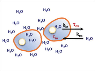 Water Dynamics Indicate Tumor Status