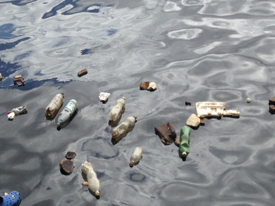 Plastic Influences Nutrient Cycle in the Sea