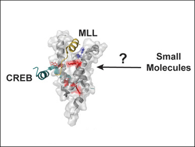 New Small‐Molecule Binding Site