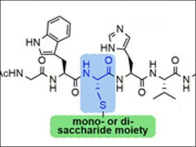 Efficient Synthesis of S-Linked Glycopeptides