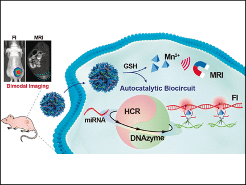 Biomarker to Detect Tumor Development