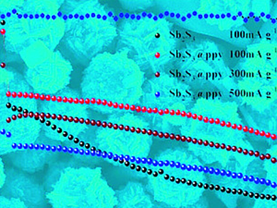 Nano-Flowers in Sodium Batteries