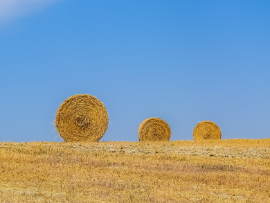 Nano-Chemicals in Agriculture