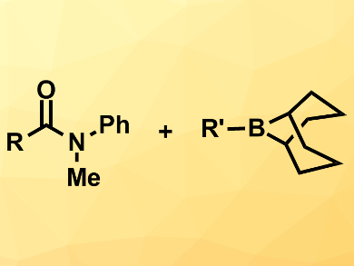 Alkylation of Amides under Mild Conditions