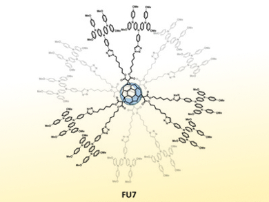 Fullerenes for Perovskite Solar Cells