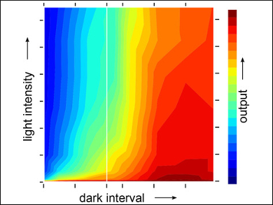 Controlling Genes with Light