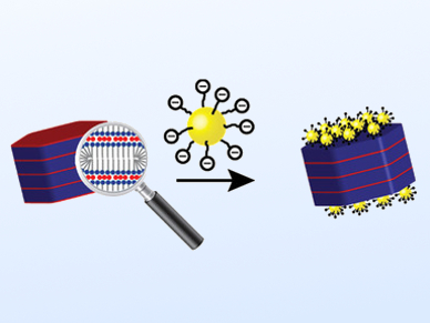 Self‐Assembly of Supramolecular Amphiphiles