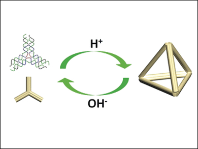 Controlled Nano-Assembly