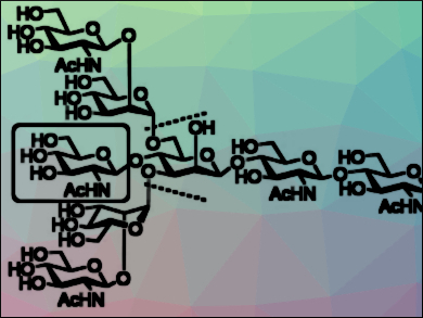 Branched N-Glycans for a Better Understanding of Modified Proteins