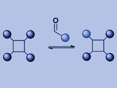 Libraries for Proteins