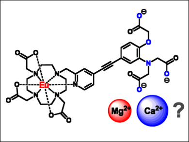 Sensing Magnesium in Serum