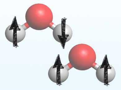 Nuclear-Spin Isomers of Water React Differently