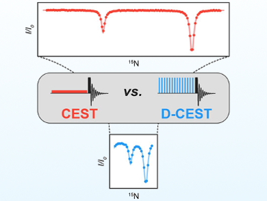 Faster NMR Studies of Proteins