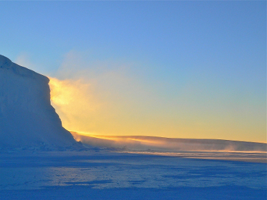 Microplastics and Organic Toxins in the Antarctic