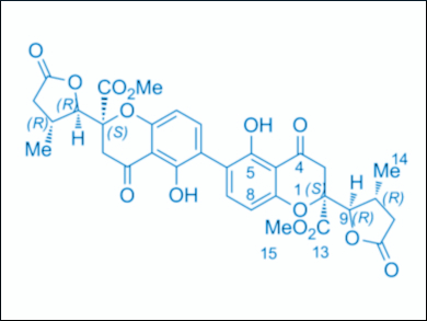 Total Synthesis of Dimeric Chromanone Lactones