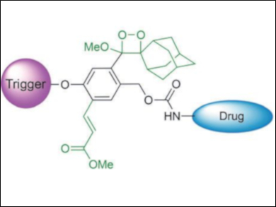 Real-Time Monitoring of Prodrug Activation