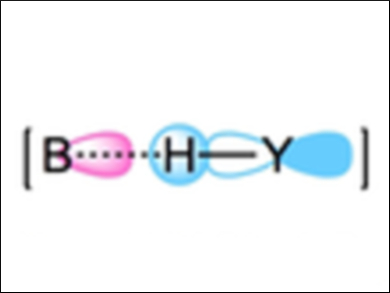 Behavior of Neutral Hydrogen Bonds