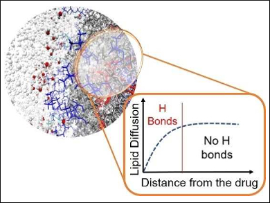 Improved Delivery of Anticancer Drugs in Liposomes