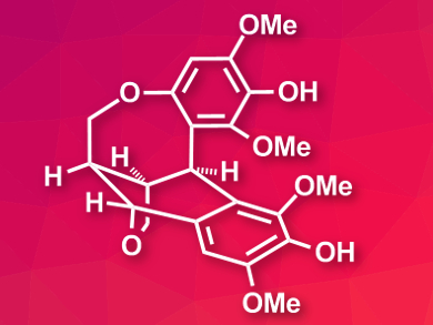 Total Synthesis of Ovafolinins A and B