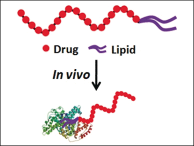 Drugs Hitchhiking to Kill Cancer