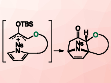 Direct Synthesis of Polycyclic Tropanes