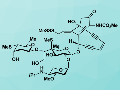 Total Synthesis of Namenamicin