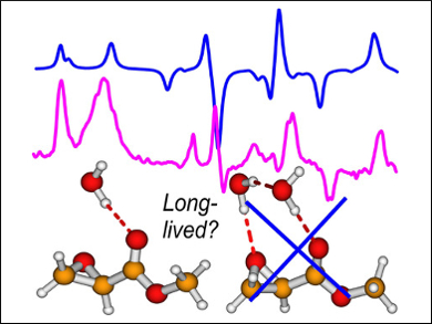 New Approach for Modeling Solvent Effects