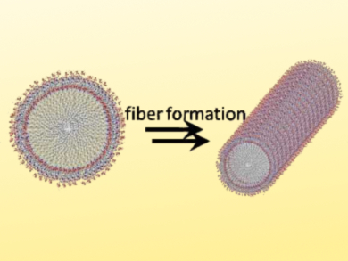 Antimicrobial Nanostructures Made from Short Peptides