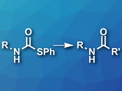 Greener Synthesis of Amides