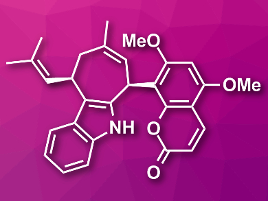 Total Synthesis of Exotine B