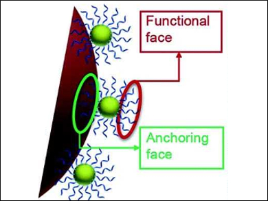 Functionalizing Surfaces with DNA