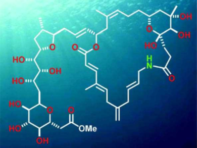 Total Synthesis of Belizentrin Methyl Ester