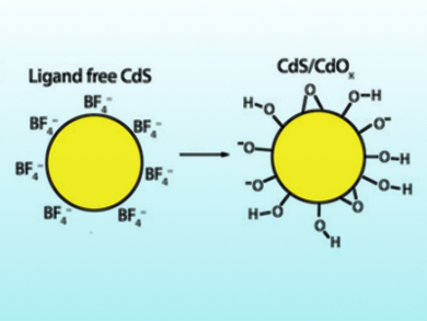 Rapid Hydrogen Evolution using Oxidized Quantum Dots