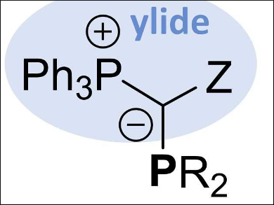 YPhos Ligands for Homogeneous Catalysis