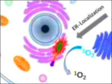 Phthalocyanine for Targeted Therapy