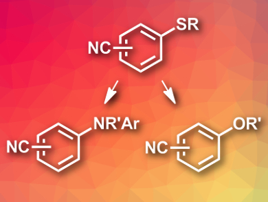 Improved Synthesis of Diarylamines and Aryl Alkyl Ethers