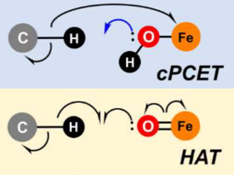 One Proton, One Electron—Many Transfer Pathways