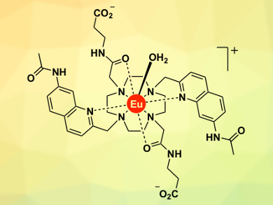 Real-Time Monitoring of Energy Transfer in Living Cells