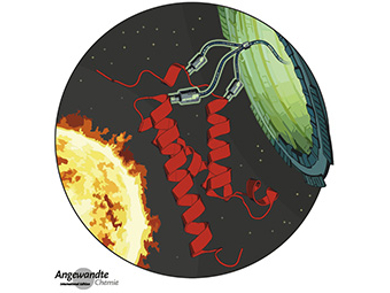 Angewandte Chemie 35/2018: Sustainable Coupling