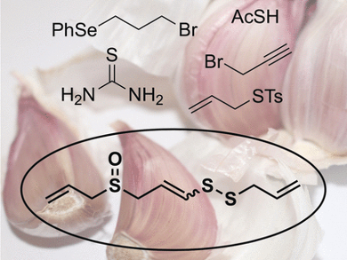 Garlic Ingredient from the Lab Bench