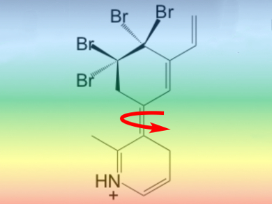 Visible-Light-Driven Molecular Motors