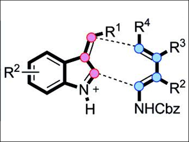 Selective Synthesis of Cyclohepta[b]indoles