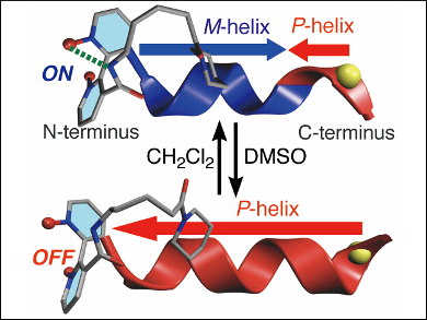 Switchable Oligopeptide Helix