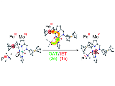 Bioinspired Enzyme Model with a Redox Switch