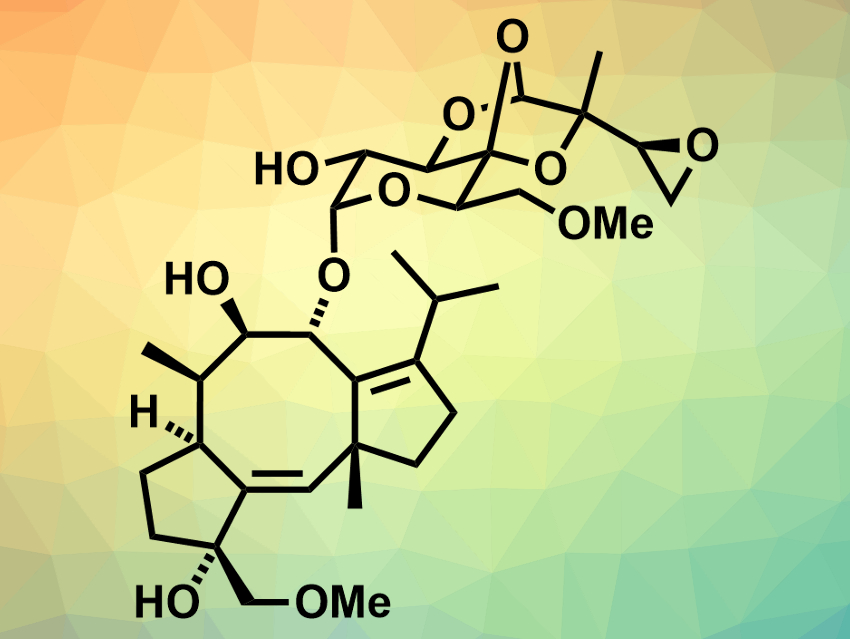 Total Synthesis of Cotylenin A