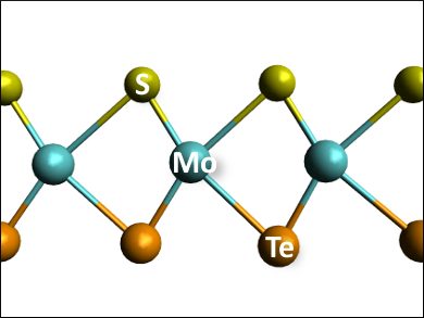 Possible New Type of Transition-Metal Dichalcogenide