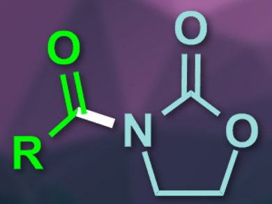 N-Acylation of Oxazolidinones