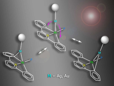 Snapshots of Transmetalation Processes