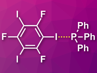 Phosphorus as a Halogen-Bond Acceptor