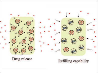 Antimicrobial Bone Cement